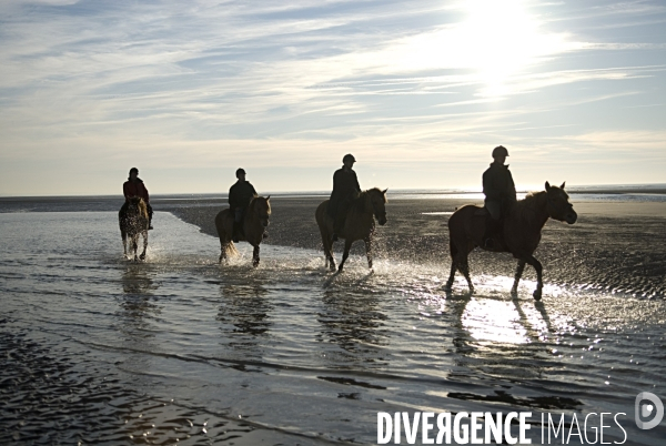 Promenades en Baie de Somme