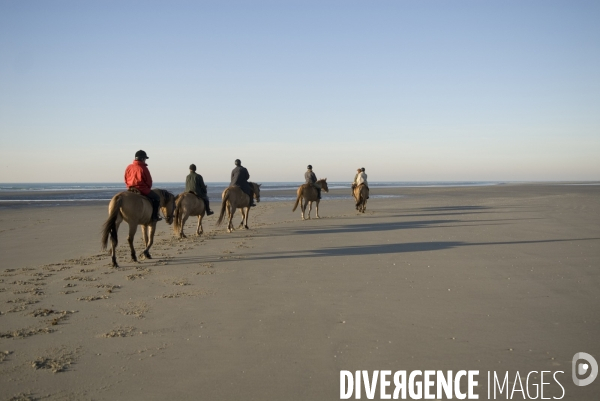 Promenades en Baie de Somme