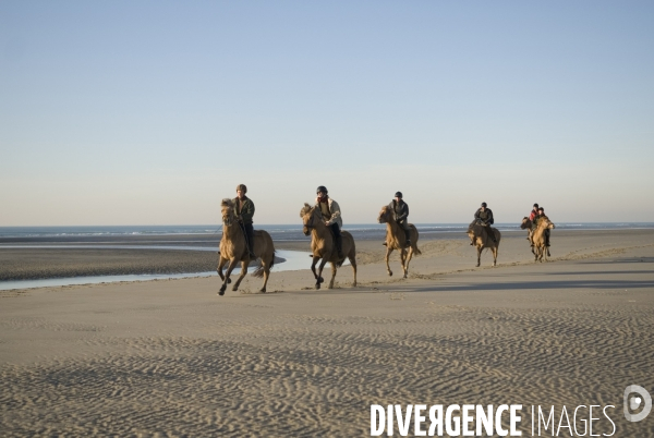 Promenades en Baie de Somme