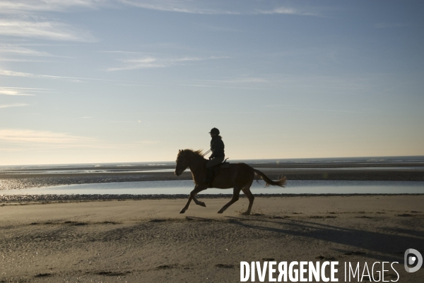 Promenades en Baie de Somme