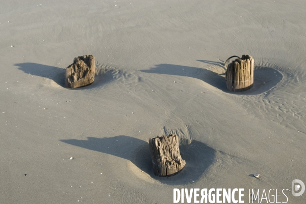 Promenades en Baie de Somme