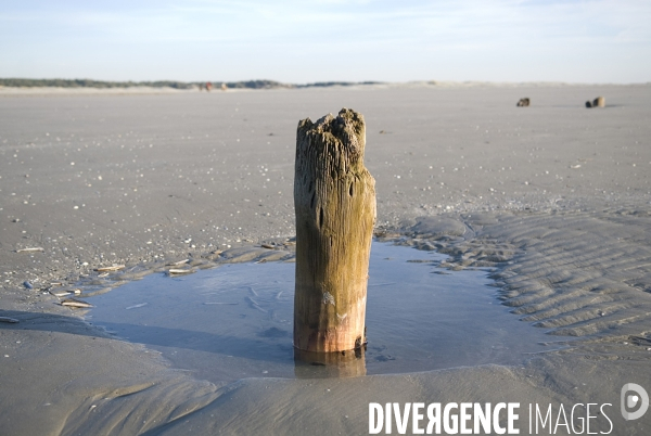 Promenades en Baie de Somme