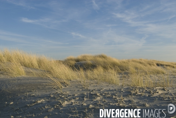 Promenades en Baie de Somme