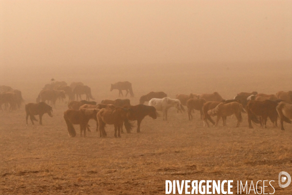 La MONGOLIE en hiver.