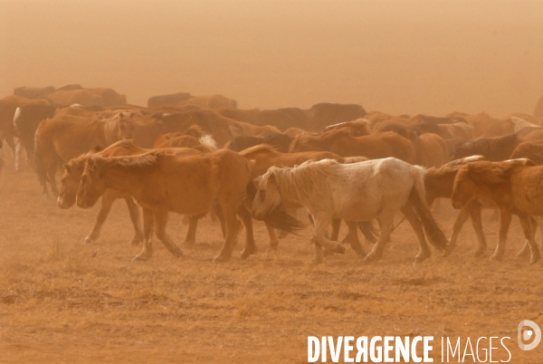 La MONGOLIE en hiver.