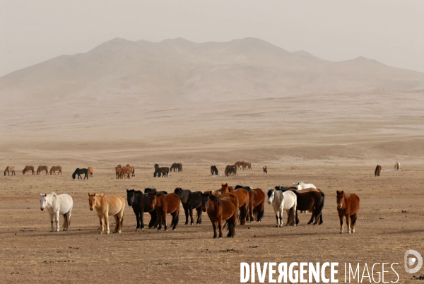 La MONGOLIE en hiver.