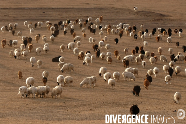 La MONGOLIE en hiver.