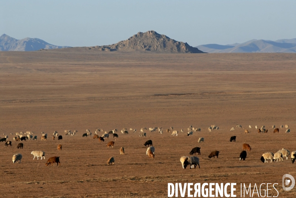 La MONGOLIE en hiver.