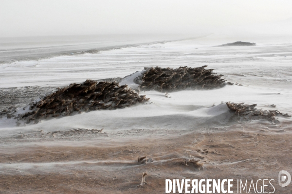 La MONGOLIE en hiver.