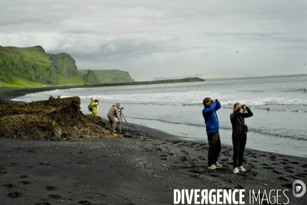 Vues de l  Islande