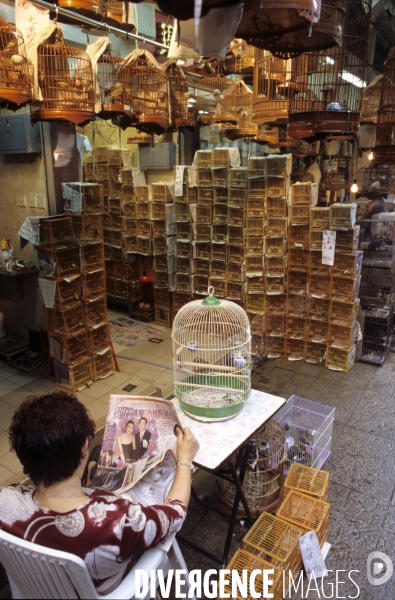 Hong Kong a tous prix