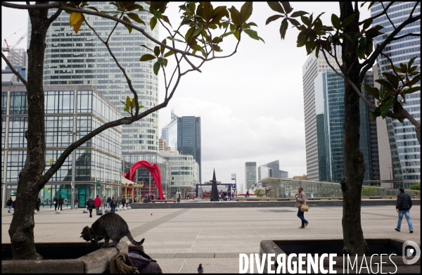 NANTERRE : Quartier d affaires de la Defense