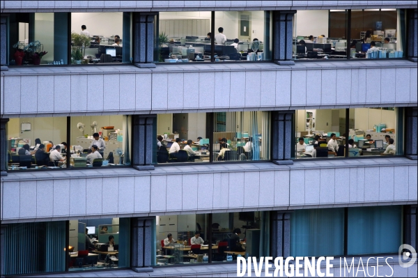 Par la fenêtre de mon bureau // Through the window of my office