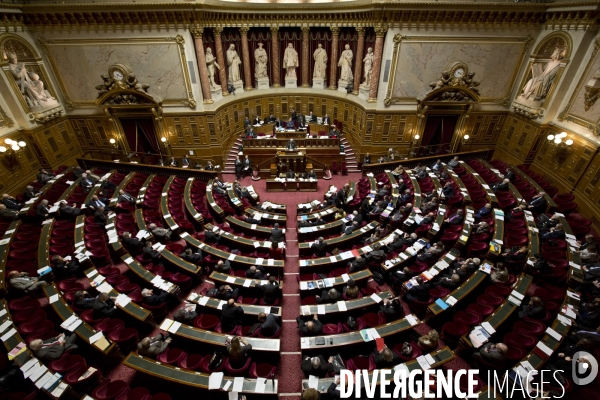 Senat