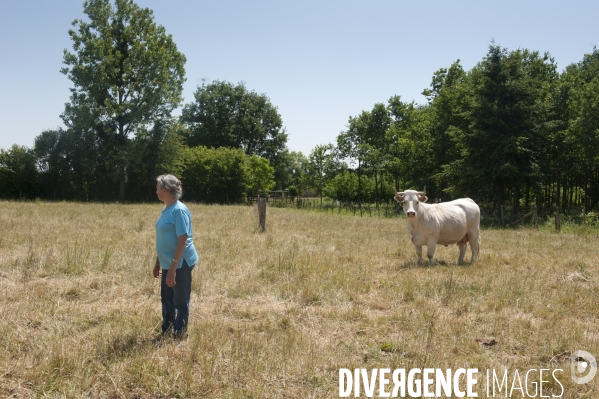 Secheresse en Sarthe (France)