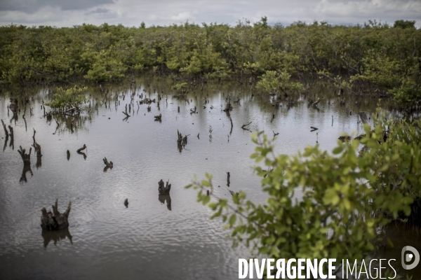 Le parc industriel de caracol, dans la region nord-est d haiti.