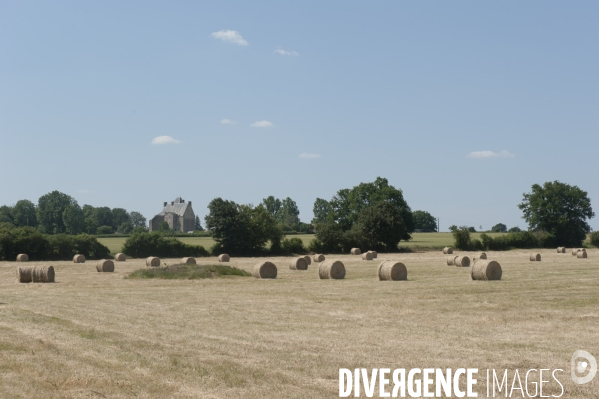 Secheresse en Sarthe (France)