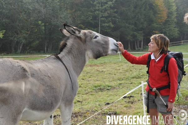 Haute-Savoie au printemps : bapteme en planeur au dessus des Alpes du lac Leman