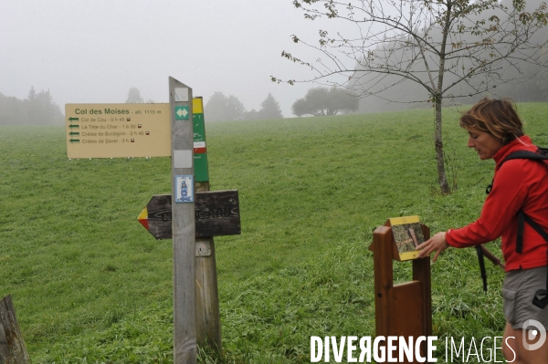 Haute-Savoie au printemps : bapteme en planeur au dessus des Alpes du lac Leman