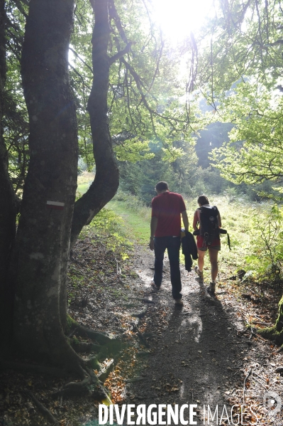 Haute-Savoie au printemps : bapteme en planeur au dessus des Alpes du lac Leman