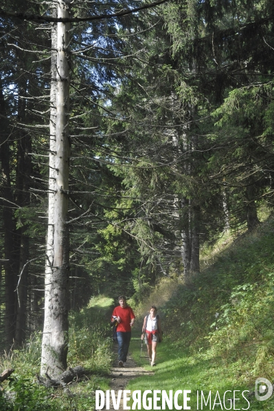 Haute-Savoie au printemps : bapteme en planeur au dessus des Alpes du lac Leman