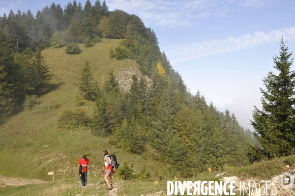 Haute-Savoie au printemps : bapteme en planeur au dessus des Alpes du lac Leman