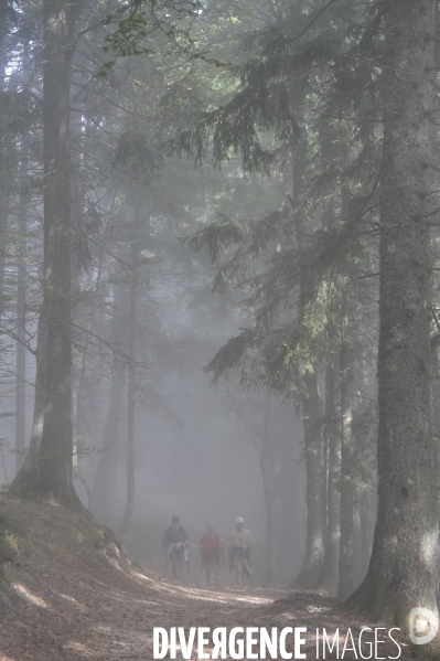 Haute-Savoie au printemps : bapteme en planeur au dessus des Alpes du lac Leman