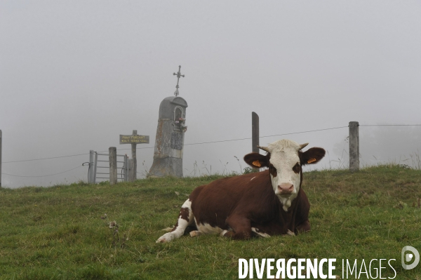 Haute-Savoie au printemps : bapteme en planeur au dessus des Alpes du lac Leman