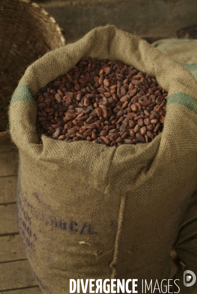 Sao Tomé : l île cacao