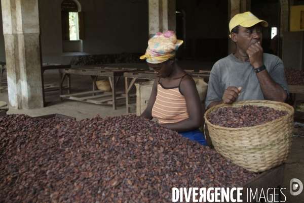 Sao Tomé : l île cacao