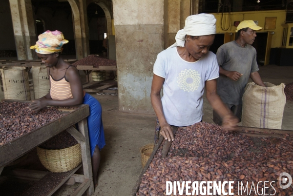 Sao Tomé : l île cacao