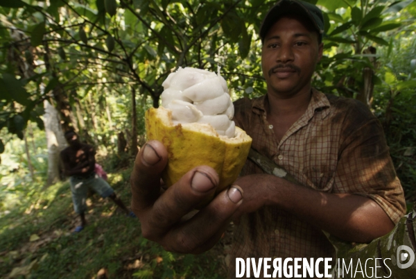 Sao Tomé : l île cacao