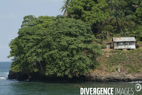 Sao Tomé : l île cacao