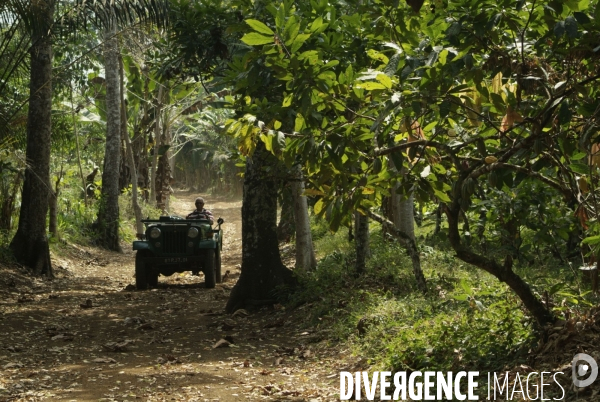 Sao Tomé : l île cacao