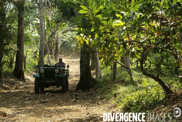 Sao Tomé : l île cacao