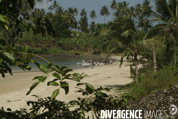 Sao Tomé : l île cacao