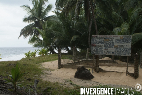 Sao Tomé : l île cacao