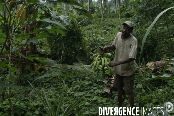 Sao Tomé : l île cacao