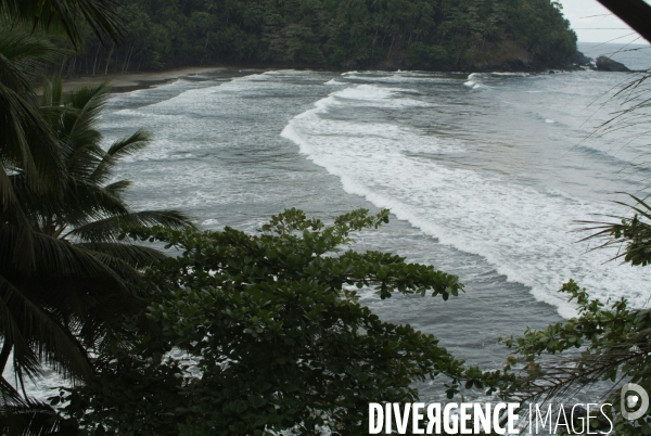 Sao Tomé : l île cacao