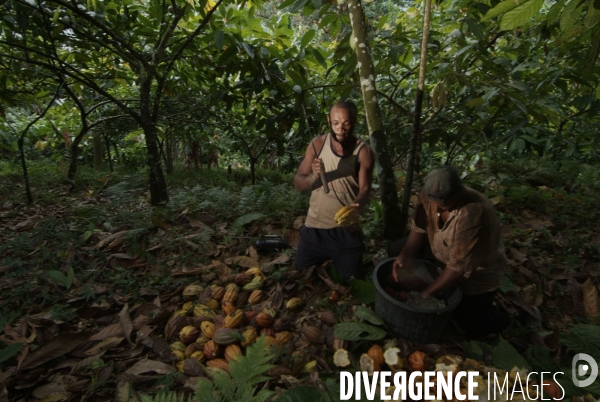 Sao Tomé : l île cacao