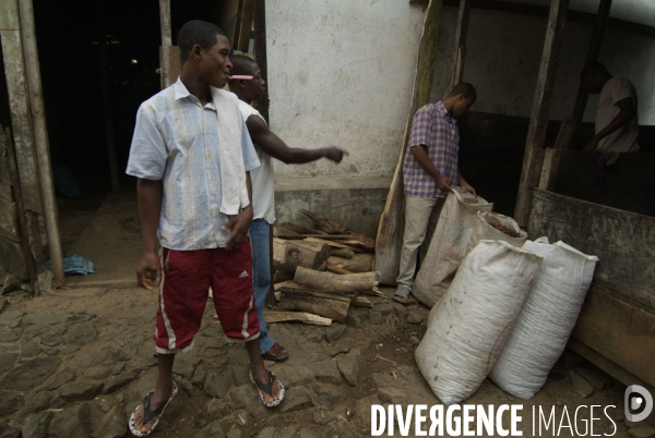 Sao Tomé : l île cacao