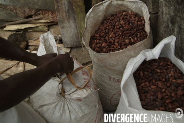 Sao Tomé : l île cacao