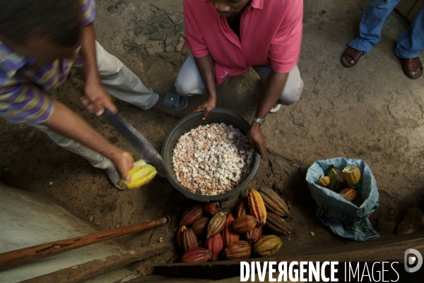 Sao Tomé : l île cacao