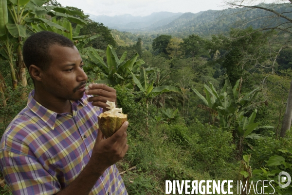 Sao Tomé : l île cacao