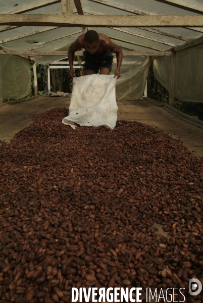 Sao Tomé : l île cacao