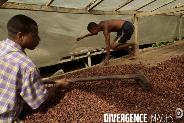 Sao Tomé : l île cacao