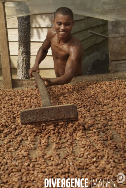 Sao Tomé : l île cacao