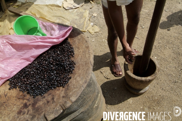 Sao Tomé : l île cacao