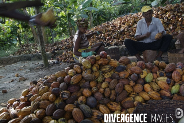 Sao Tomé : l île cacao