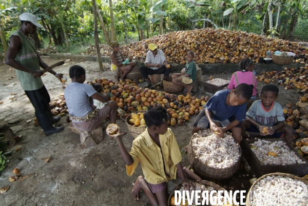 Sao Tomé : l île cacao